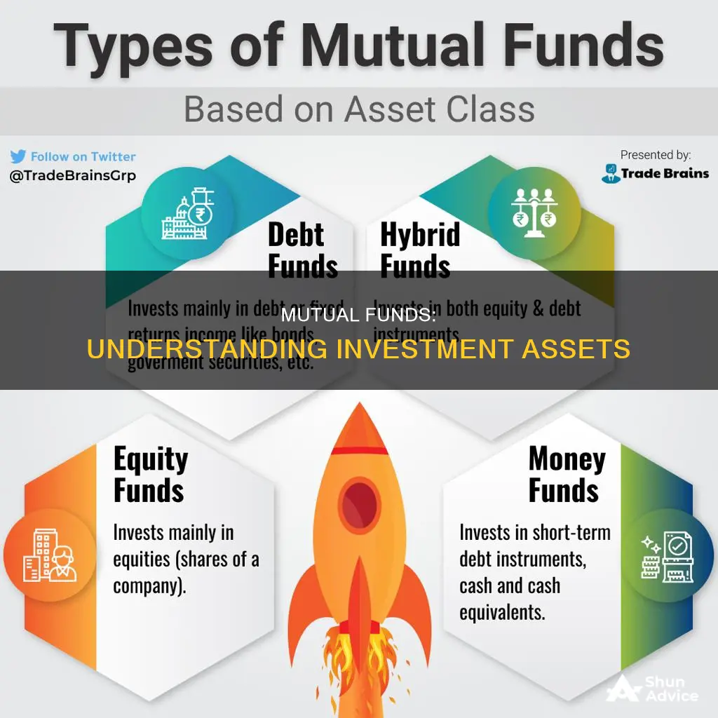 what assets do mutual funds invest in