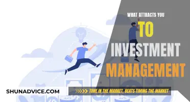 The Allure of Investment Management: Strategies, Challenges, and Rewards