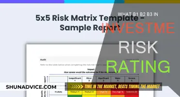 Understanding Investment Risk Ratings: B1, B2, and B3 Explained