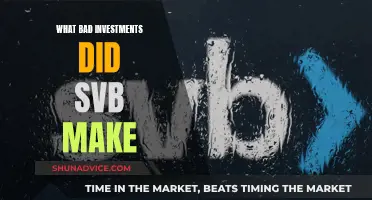 SVB's Bad Investments: Where Did It All Go Wrong?