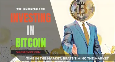 Big Players Betting on Bitcoin: Who's Investing?