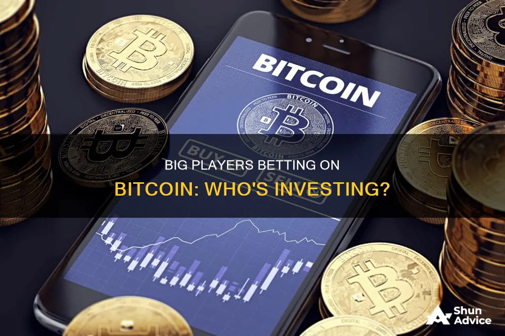 what big companies are investing in bitcoin