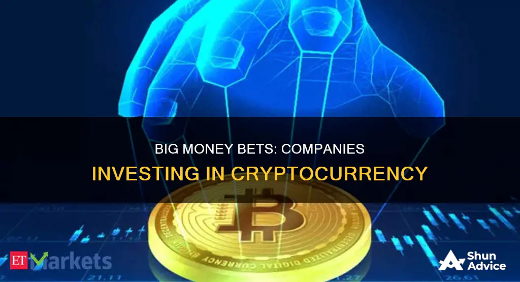 what big companies are investing in cryptocurrency