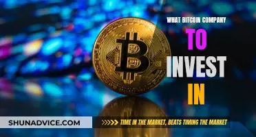 Bitcoin Investment: Which Companies are Worth Your Money?