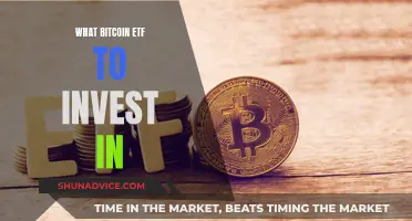 Best Bitcoin ETFs: Where to Invest Your Money