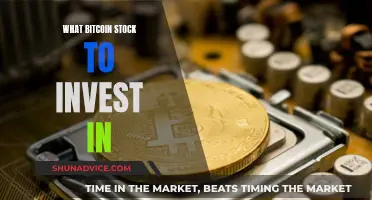 Best Bitcoin Stocks: Where to Invest Your Money