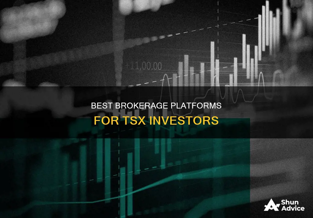 what broker should I use to invest in tsx