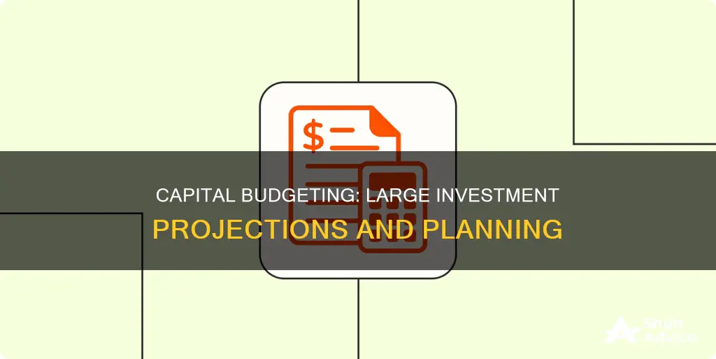 what budgets are used to make projections for large investments