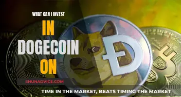 Dogecoin Investment Options: Where to Invest?