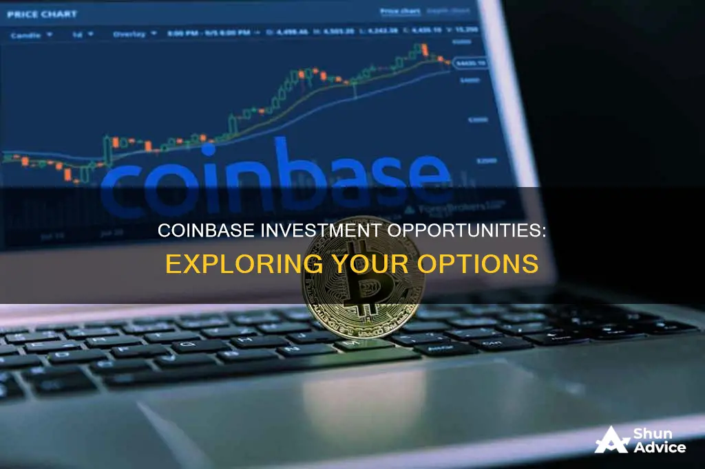 what can I invest in with coinbase