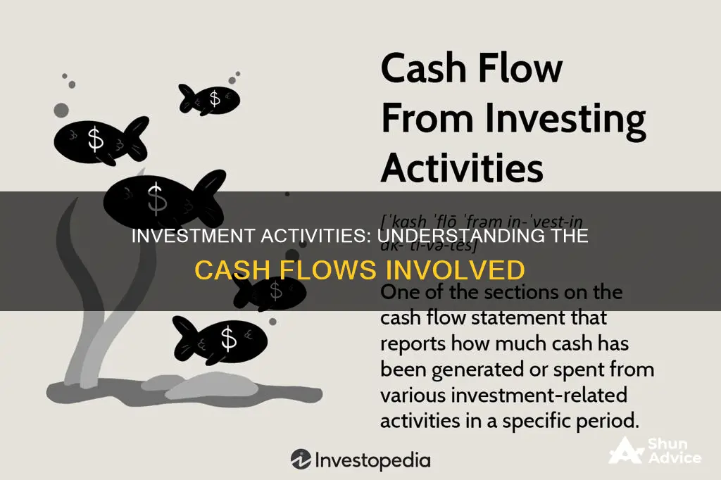 what cash flows are included in investment activities