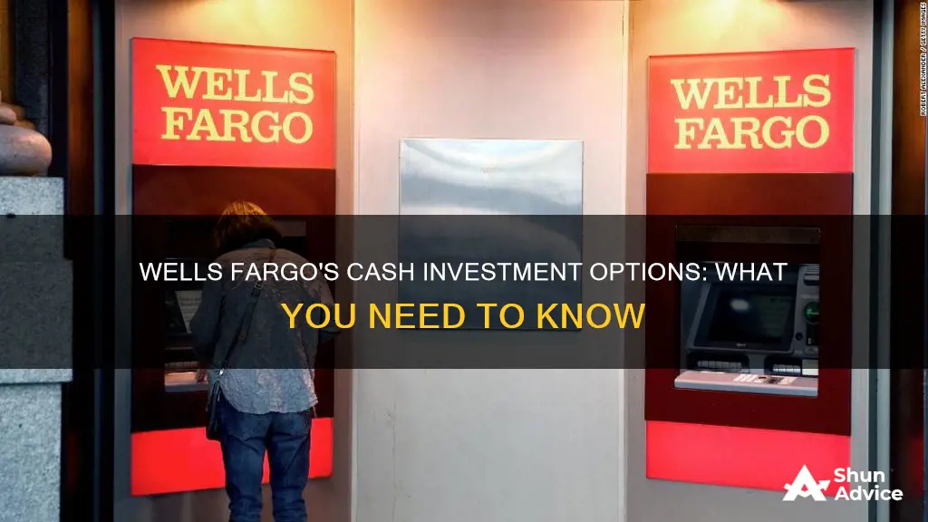 what cash investments does wells fargo offer