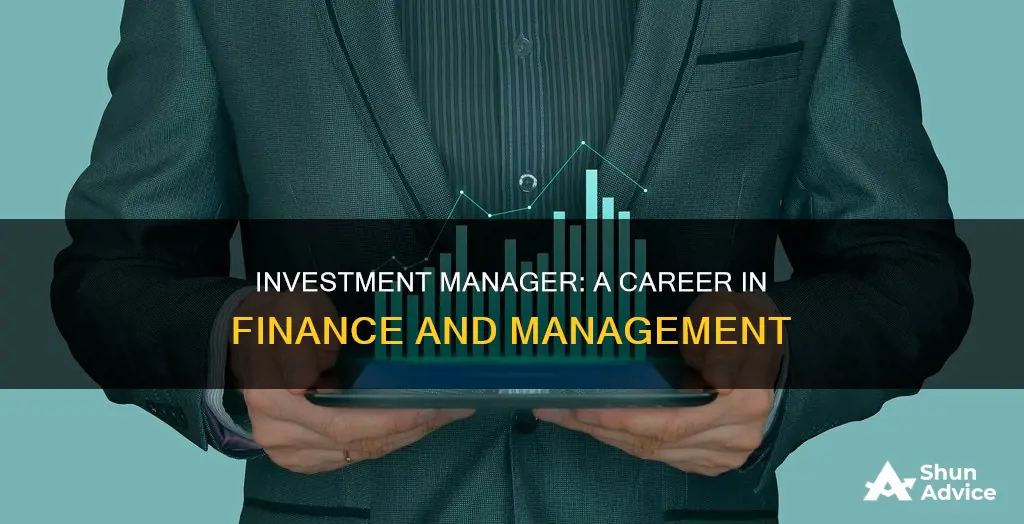 what category does investment manager fall under