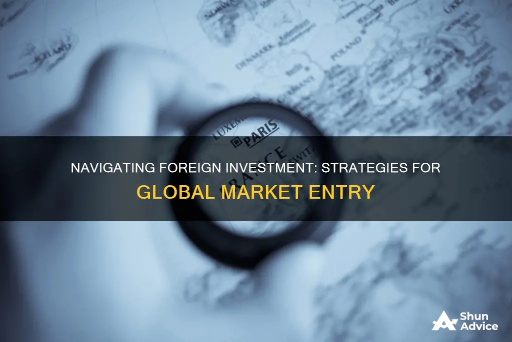 what category investment in foreign operation