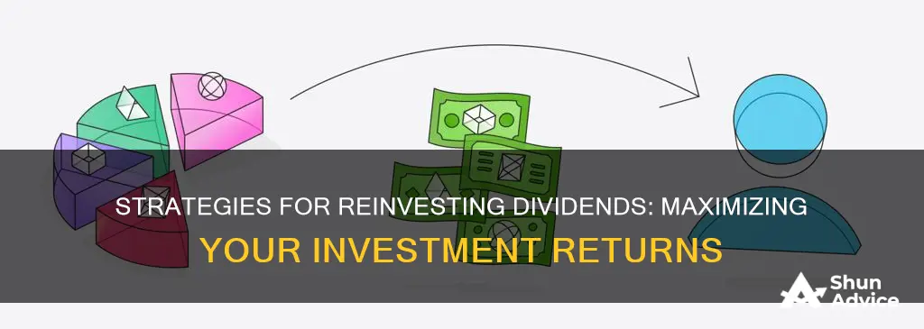 what catorgory to use for investment diviend reinvest