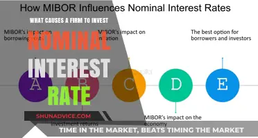 Nominal Interest Rates: Unlocking the Secrets of Corporate Investment Decisions