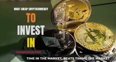 Best Cheap Cryptocurrency to Invest in Right Now