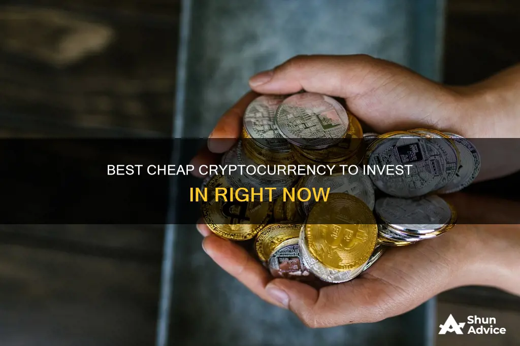 what cheap cryptocurrency to invest in