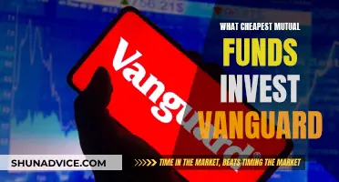 Best Vanguard Mutual Funds for Cost-Conscious Investors