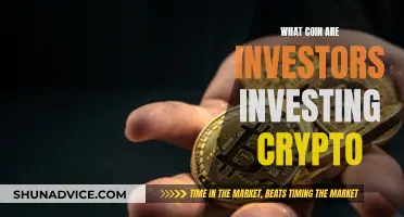 Where Investors Are Placing Crypto Bets in 2023