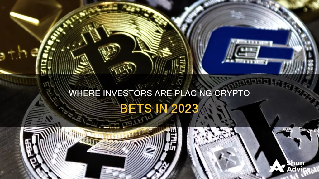 what coin are investors investing crypto