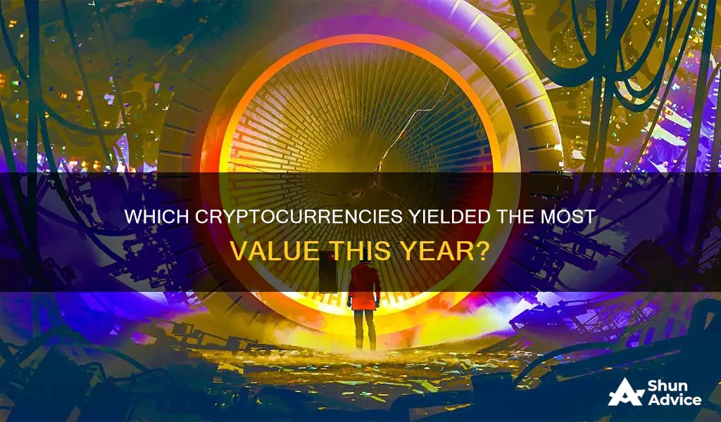 what coin investment yielded more worth this past year