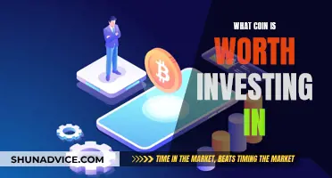 The Crypto Investment: Which Coins are Worthy?