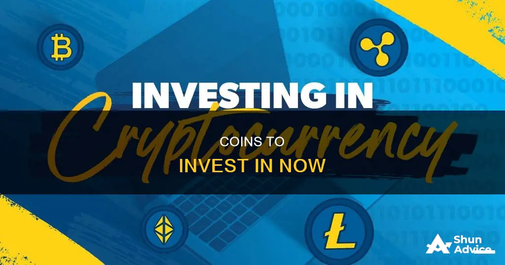 what coin should I invest in right now