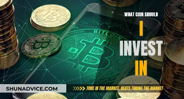 Cryptocurrency Investment: Which Coins are Worth Your Money?