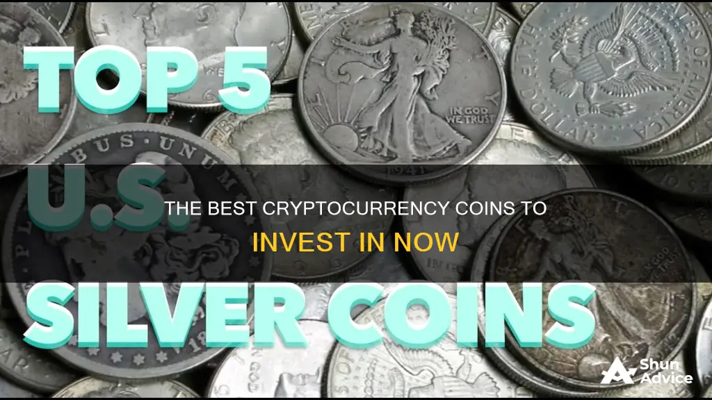 what coins should I invest in cryptocurrency