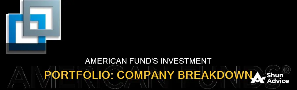 what companies does american fund invest in