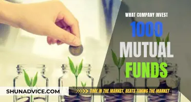 Why Mutual Funds Are Smart Investments for Companies