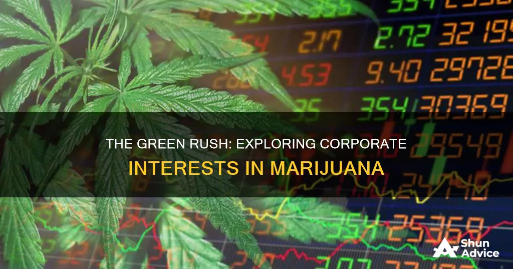 what compnies will be investing in marijuana