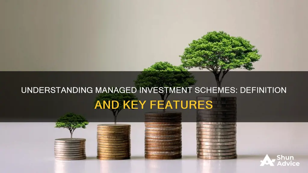 what constitutes a managed investment scheme