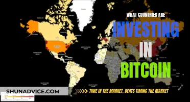 Who's Betting Big on Bitcoin Globally?