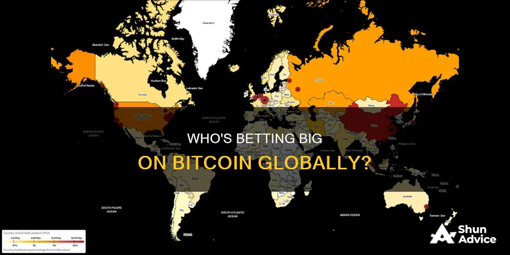 what countries are investing in bitcoin