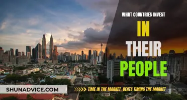 Investing in People: Country Strategies