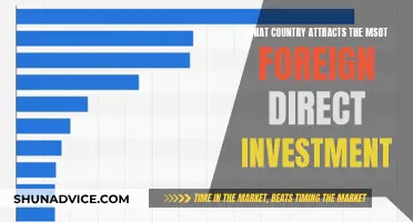 Global Investment: Unlocking the World's Top FDI Destinations