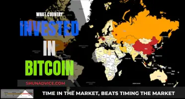 Which Nations Embrace Bitcoin?