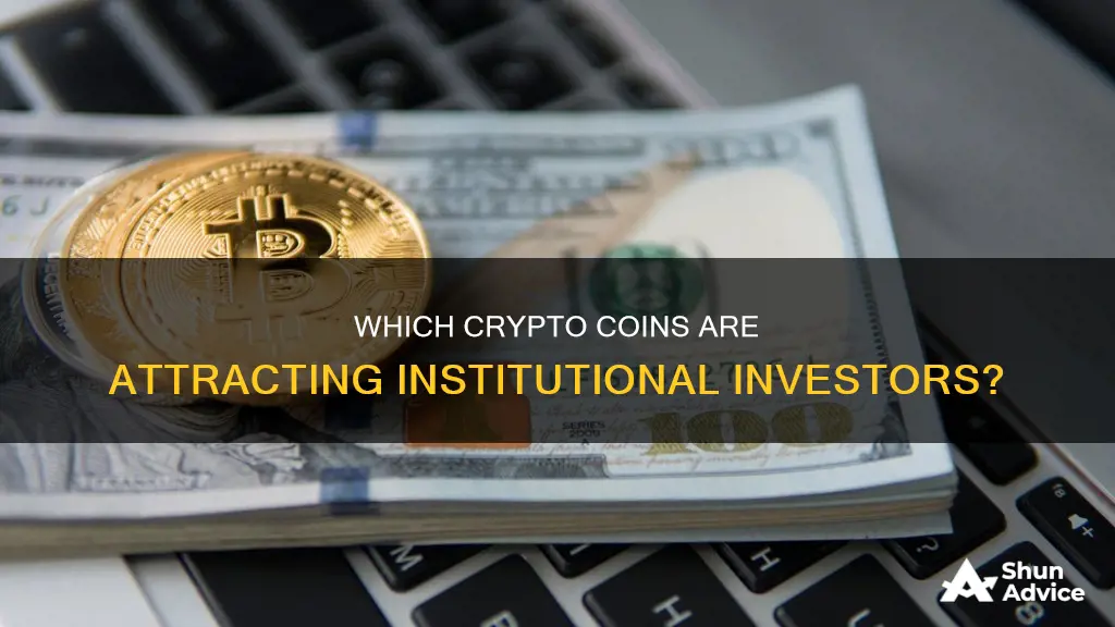 what crypto coin most possible institutional investing in