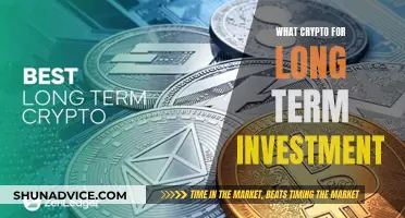 Best Crypto for Long-Term Investment: Strategies for Success