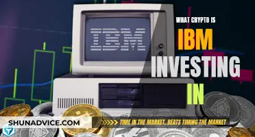 IBM's Crypto Investment Focus: What's Their Strategy?