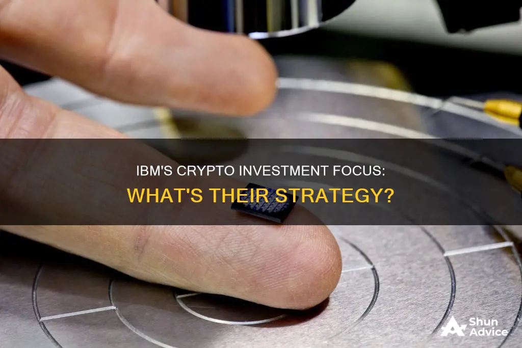 what crypto is ibm investing in