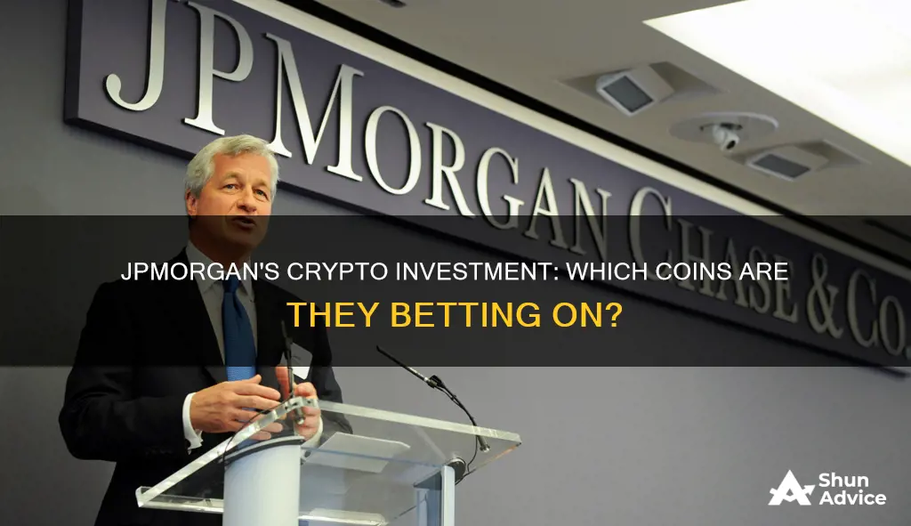 what crypto is jp morgan investing in