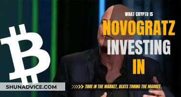 Novogratz's Crypto Bets: Exploring His Investment Portfolio