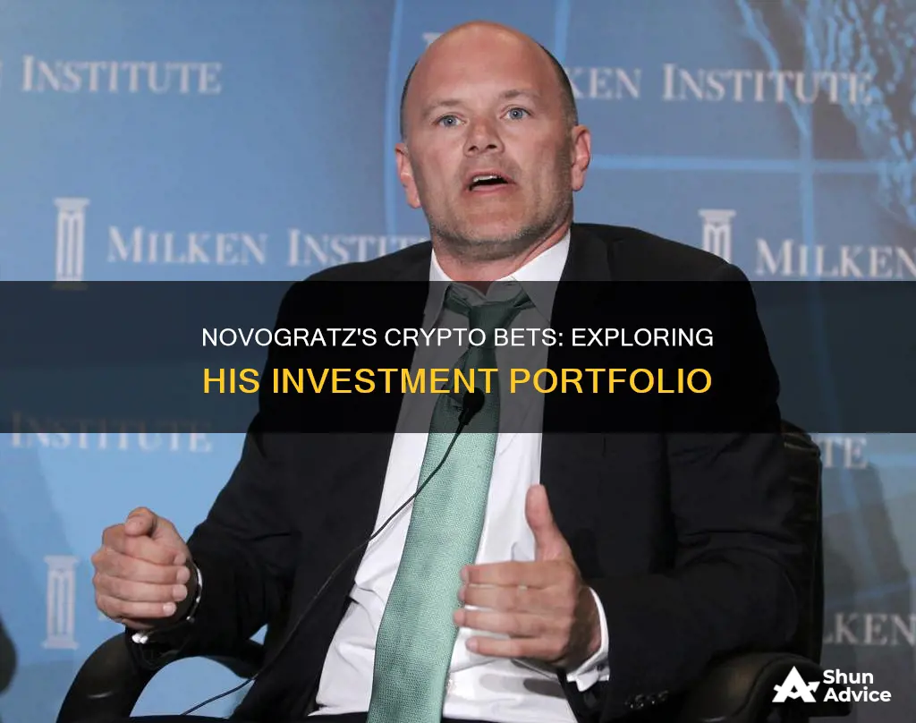 what crypto is novogratz investing in