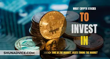 Crypto Investment Strategies: Stocks to Invest In