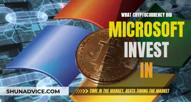 Microsoft's Crypto Investment: Which Coins Did They Choose?