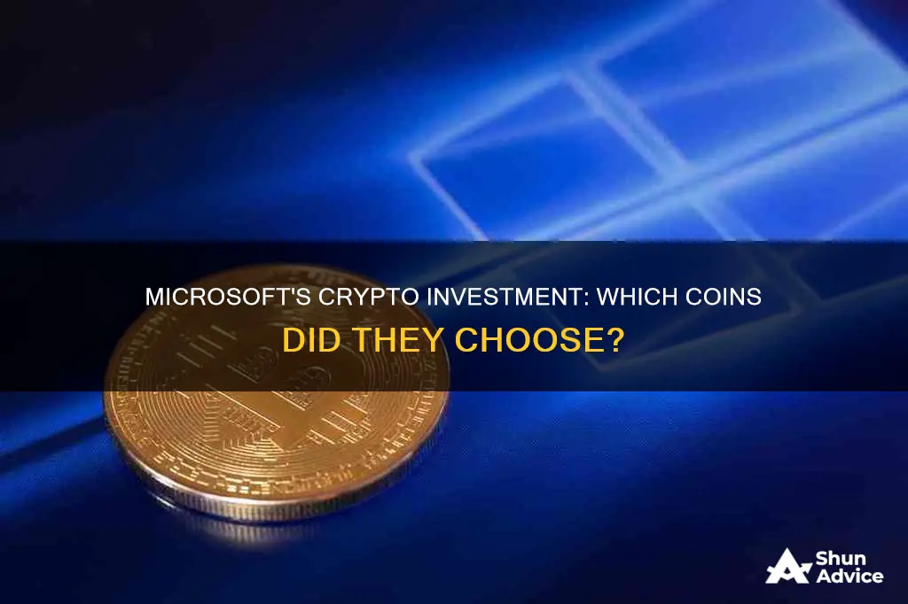 what cryptocurrency did microsoft invest in