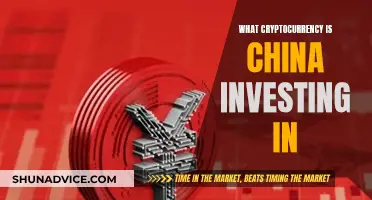 China's Crypto Investment: Which Coins Are They Betting On?